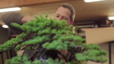 - (snips) - Each time I
choose to touch a tree - Trees and Other Entanglements