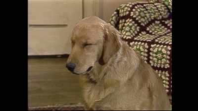 [snoring] - Punky Brewster