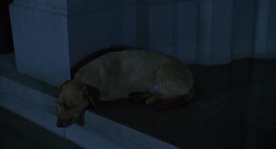 (snoring) - Garfield