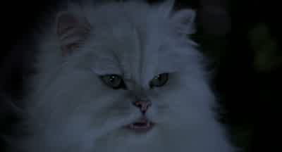 Snow what's he doing to your legI can't help but think this is wrongWhat the hell's going on hereLook Smokey call me ficklebut I want to call this whole thing off okayToo late - Stuart Little