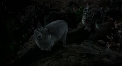 -Snowbell. - Stuart Little
