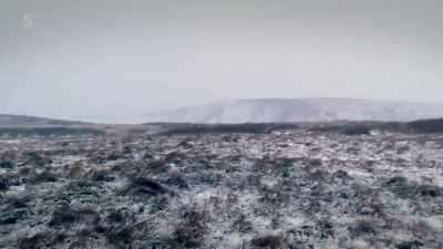Snowdrifts can bury sheep - Our Yorkshire Farm