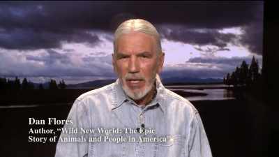 So, 100 years ago that we
understood that Native people - The American Buffalo