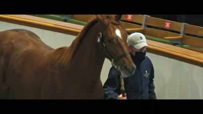 So a big relief when I found out
that he was still coming here. - Horsepower