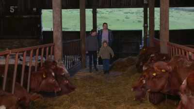 So a cow what - Our Yorkshire Farm
