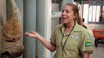 So, all I need to do is get in there
and get it, but she's currently - Magic of Disney's Animal Kingdom