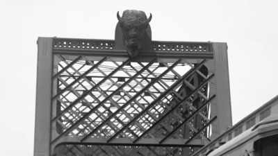 So, all this time we've been
taking hides and tongues, - The American Buffalo