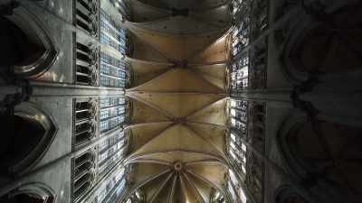 So they almost looked like the bowels of a tree, - Ancient Engineering