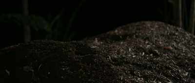 So, any creature
that has this ability to morph - Alien Worlds
