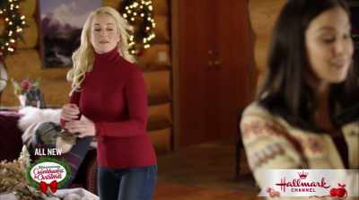 So, any interesting guests
check in lately? - The Mistletoe Secret