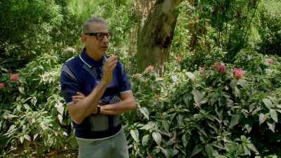 So, anyway. I don't do that.
I'm not a total idiot. - The World According to Jeff Goldblum