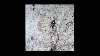 So it appeared very clear that
that blanket from the crime - Casey Anthony: An American Murder Mystery