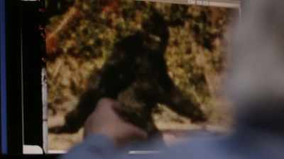 So, based on that, we assume - Expedition Bigfoot