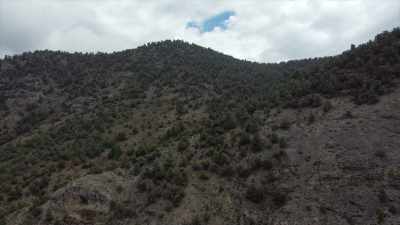 So we basically just start
at her car and spread out. - Horror in the High Desert 2: Minerva