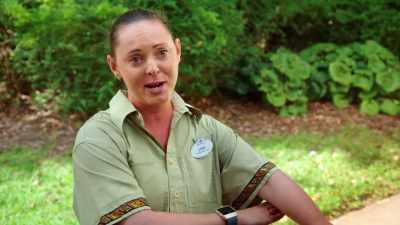 So, best guess
is that she was a discarded pet. - Magic of Disney's Animal Kingdom