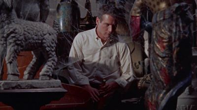 So you bought me a birthday present - Cat on a Hot Tin Roof
