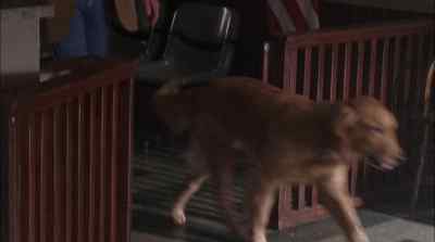 So, nobody called? - Jesse Stone: Sea Change