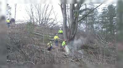           So they came,
    they cut down the trees. - The Story of Plastic