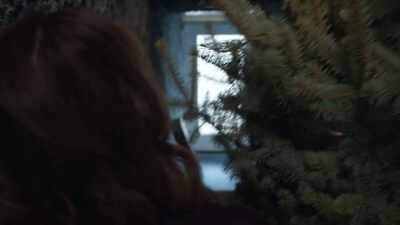 So, we can keep the tree, - Christmas Stars