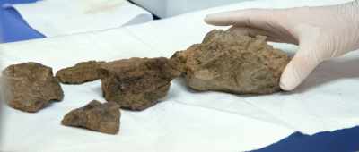 ... so we can not really put it together and show a horn, - Is Genesis History?