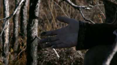 So, you can see here the ash
on the trees where they burned. - Life Below Zero: Next Generation