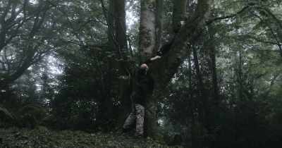So, come on,
down from the tree. Yeah? - Among the Living