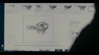 So he concluded that what we see - The Capture