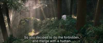 So you decided to do the forbidden,
and merge with a human. - Shin Ultraman