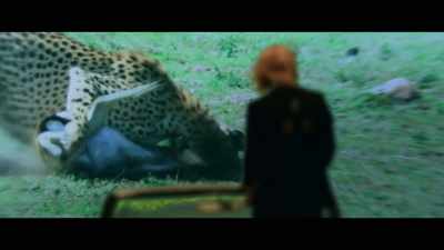 So he decided he would take
everything by force - Reprisal