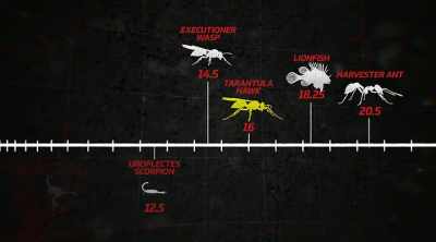 So, definitely one of the more
higher-scoring creatures - Kings of Pain