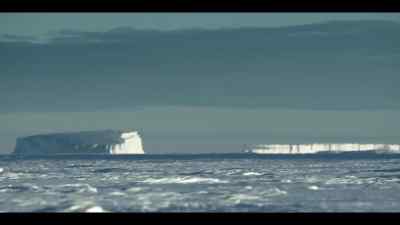 So, despite just completing an epic swim, - Our Oceans