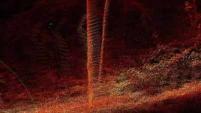  So determining
 what we can see in that sca - Expedition Bigfoot