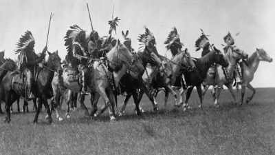 "So they did what you
and I would do - The American Buffalo