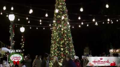 So... do you consider
tonight's event a success? - The Mistletoe Secret