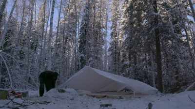 So, do the hard work
now and have this as a
place that I can use - Life Below Zero: Next Generation