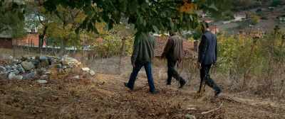 So do what we like, - The Wild Pear Tree