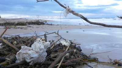 So, it doesn't matter almost
if it's been banned - Plastic Earth