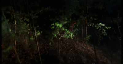 So Ellen is running all
night long through the woods, - Time Warp Vol. 2: Horror and Sci-Fi