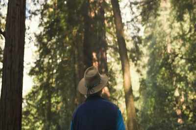 So my essential
nature by definition, - Thrive II: This Is What It Takes