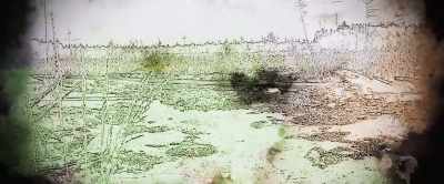 So we eventually had
to stop using it completely, - Interreflections