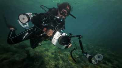 So every day I would go
diving and then I would just - Photographer