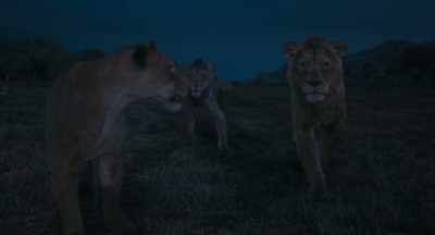 So, you expect us
to follow this baboon - Mufasa: The Lion King