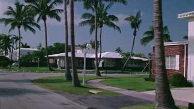 So my family moved to Miami. - Mafia Spies