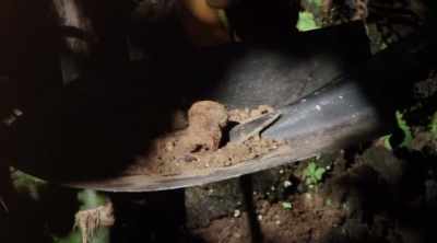So far we found possibly
a Japanese hand grenade - Lost Gold of World War II