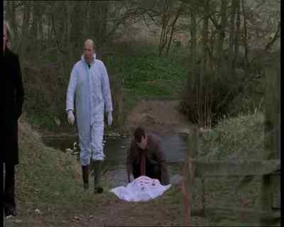 So far I've counted over 50 stab wounds. - Wire in the Blood