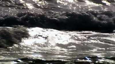 So far, sharks seem to be
moving closer to shore, - Shark Attack Files