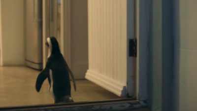 So far, she's managed
to avoid whatever lives in here. - Penguin Town