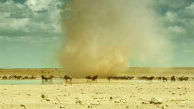 So far, we've endured
a devastating drought... - Serengeti