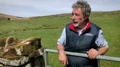 So far, what about this lambing?
Has it been a good lambing or... - Our Yorkshire Farm
