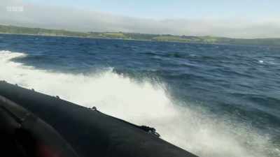 So to film tuna hunting,
speed is everything. - Wild Isles